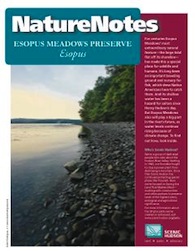 Esopus Meadows Nature Notes Booklet