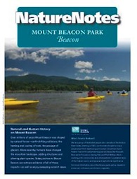Mount Beacon Nature Notes Booklet